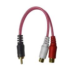 Y´S 1 MACHO 2 HEMBRAS DXR - DXR